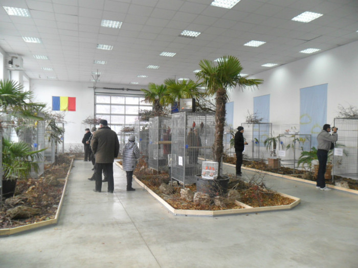 SAM_0772
