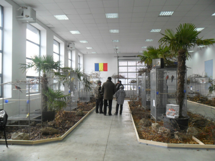 SAM_0773