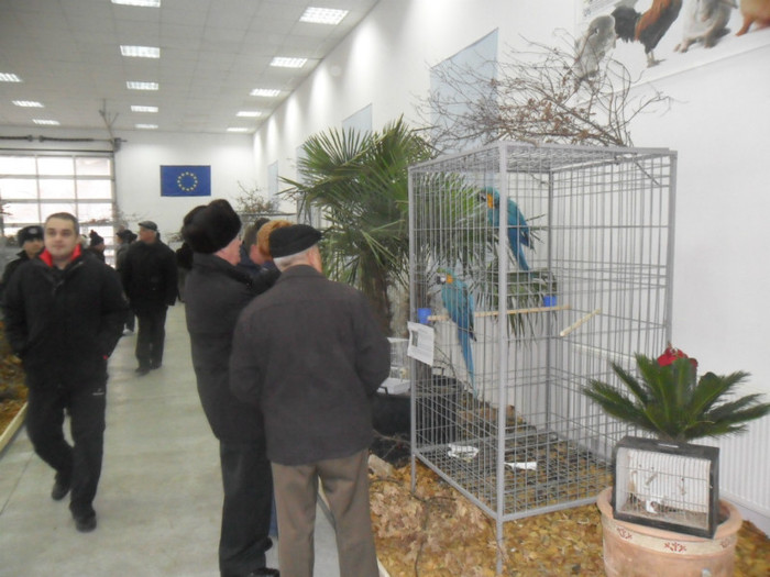 SAM_0780