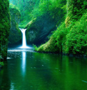 Nature_02