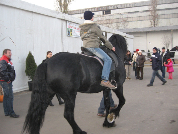 IMG_0021 - Expozitie Galati noiembrie 2011