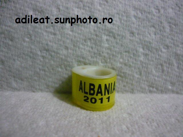 ALBANIA-2011 - ALBANIA-ring collection