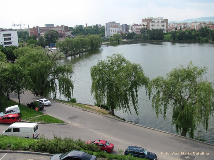 Lacul de langa Iulius Mall