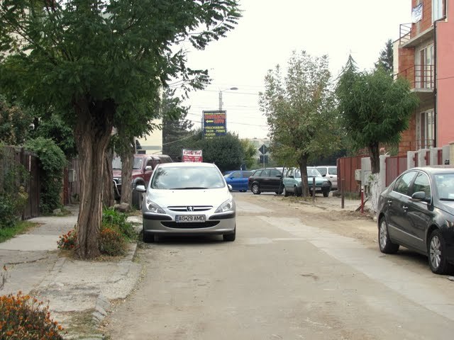 Str. Crizantemelor