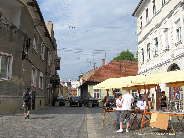 Str. Virgiol Fulicea