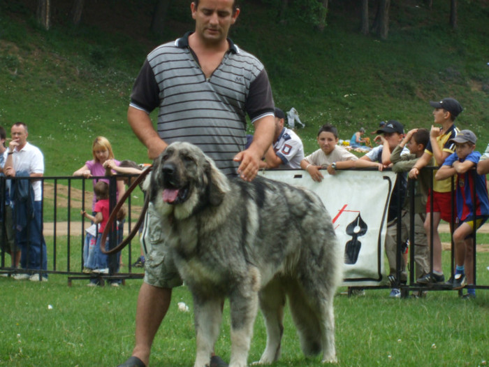 Tatal puilor.; Tatal, Bandit de Popa , la 11 luni.Campion national de juniori 2009
