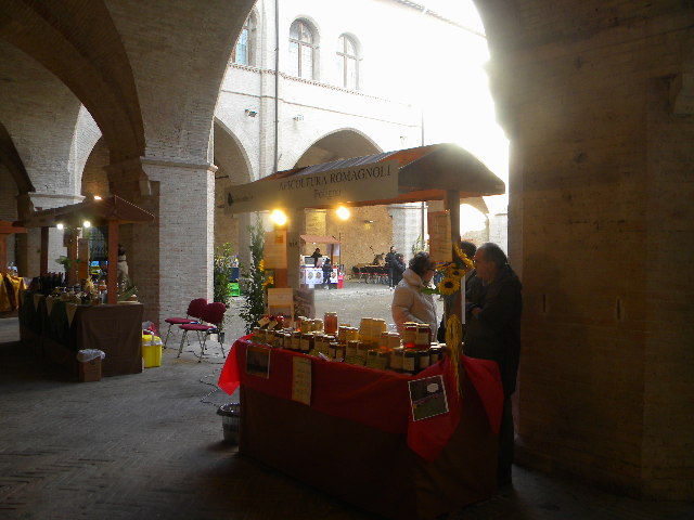 DSCN7710