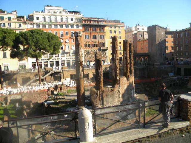 DSCN7800