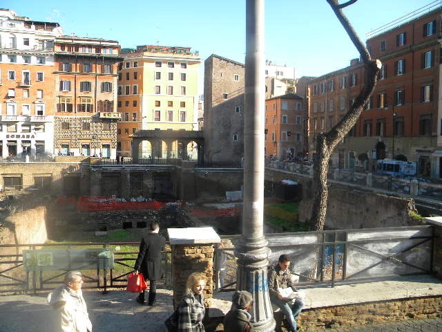 DSCN7801