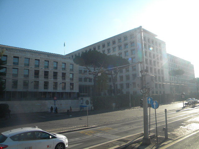 DSCN7879 - Roma 2011