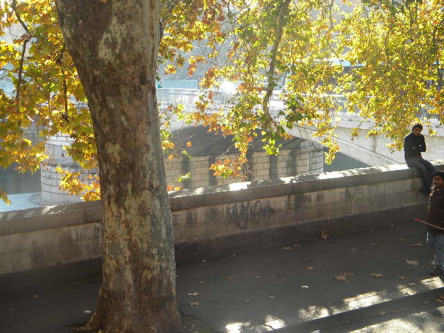 DSCN7895 - Roma 2011