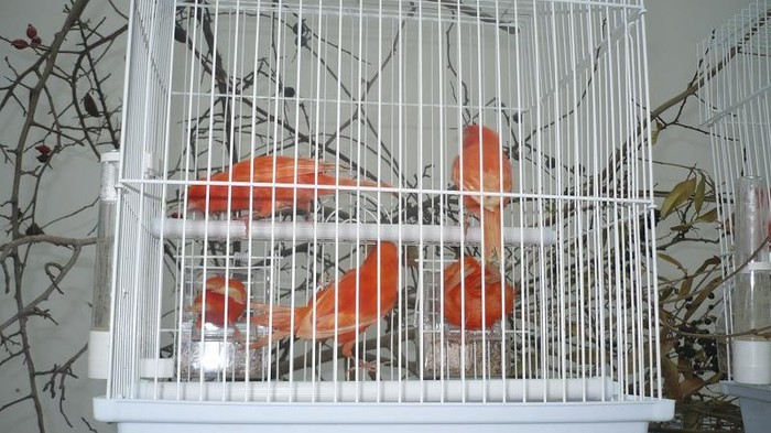 P1070439