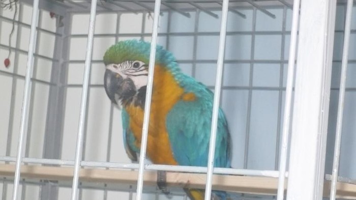 P1070441