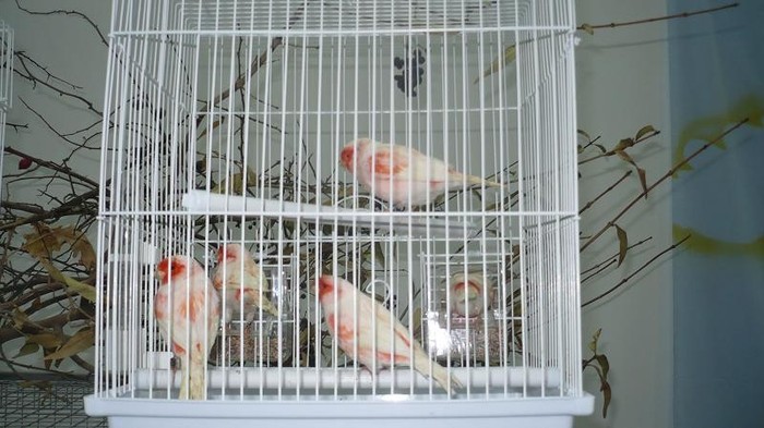 P1070494