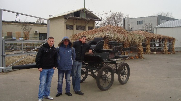 Armando- Alin B- Adi B