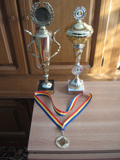 Galati noiembrie 2011 - Palmares