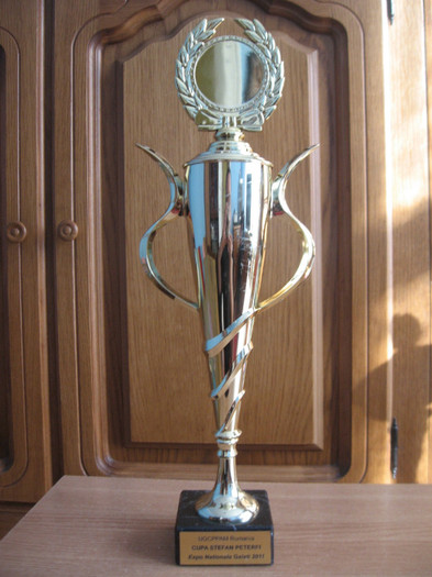 Galati noiembrie 2011