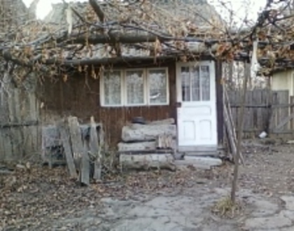 in fata bucatariei de vara... - noiembrie 2011 la tara