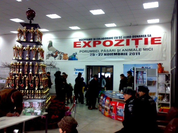 cupele pentru campioni - 7-anunt important