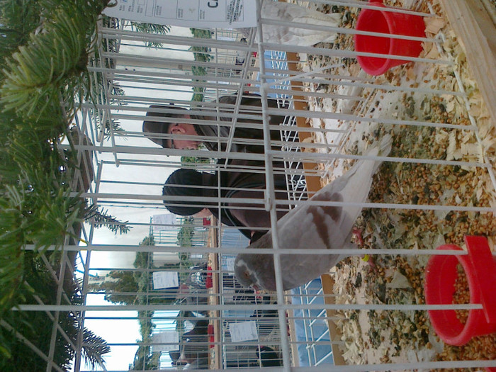 32 - Expo Galati 22 -  27  11   2011