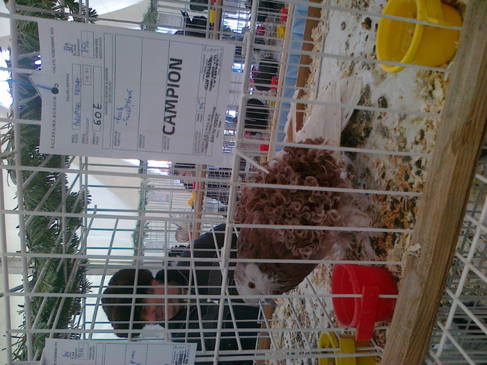 47 - Expo Galati 22 -  27  11   2011