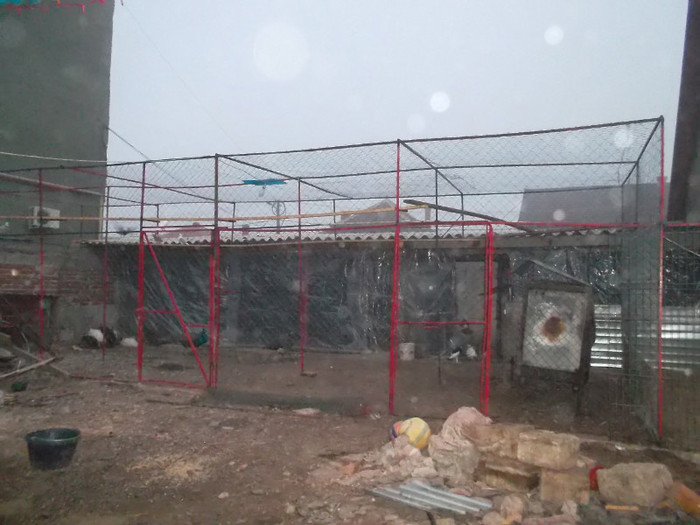 SAM_2017 - zoo meu