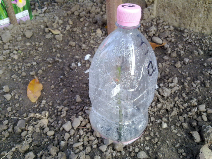 271120111788
