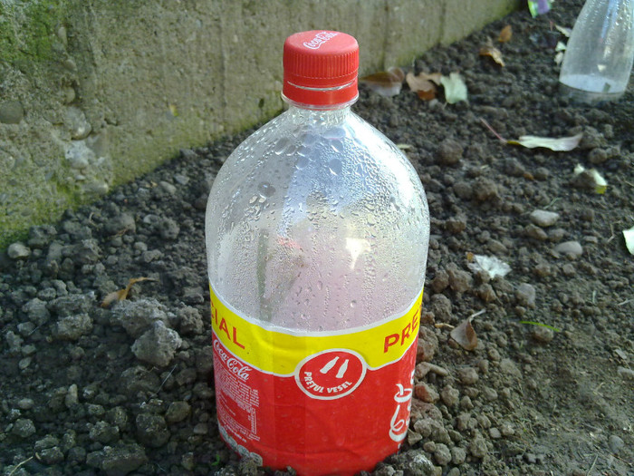 271120111789