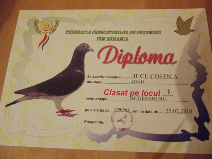 DSCF1307 - cupe si diplome