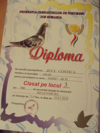 DSCF1308 - cupe si diplome