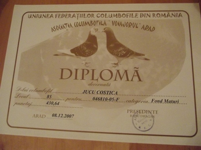 DSCF1309 - cupe si diplome