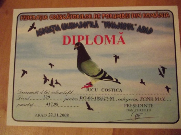 DSCF1310 - cupe si diplome