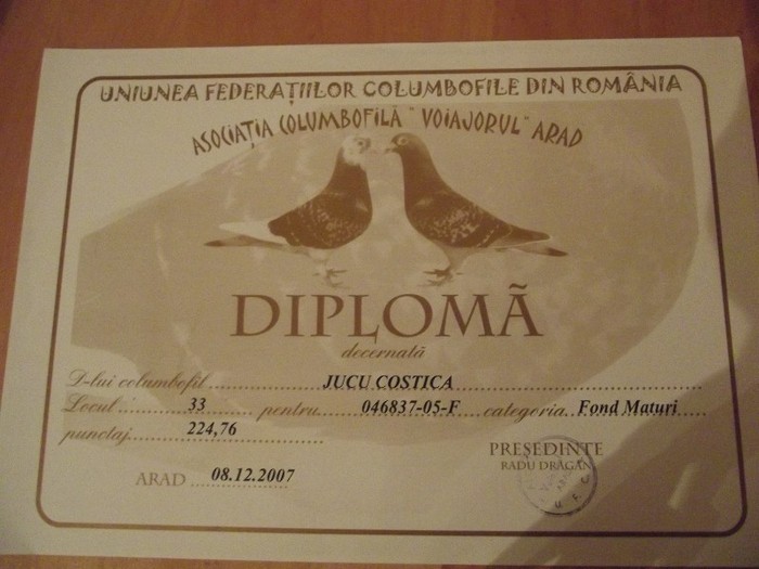 DSCF1311 - cupe si diplome