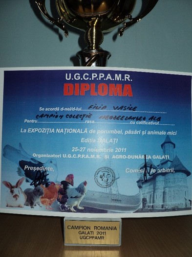 campion colectie neo-galati2011 - participari si rezultate