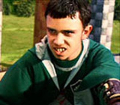 136 - Harry Potter si Camera Secretelor 2002