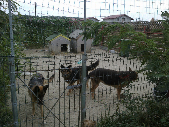 Mara, Bonny si Cabac