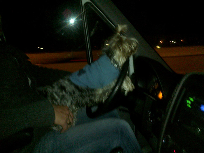 Brutus mare sofer :)