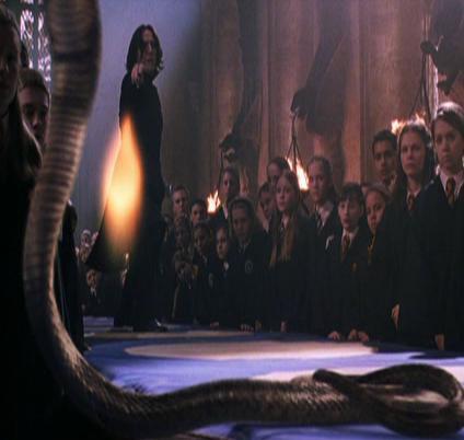 149 - Harry Potter si Camera Secretelor 2002