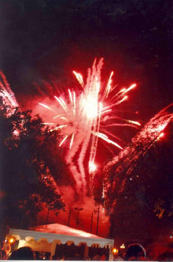artificii1 - focurile de artificii