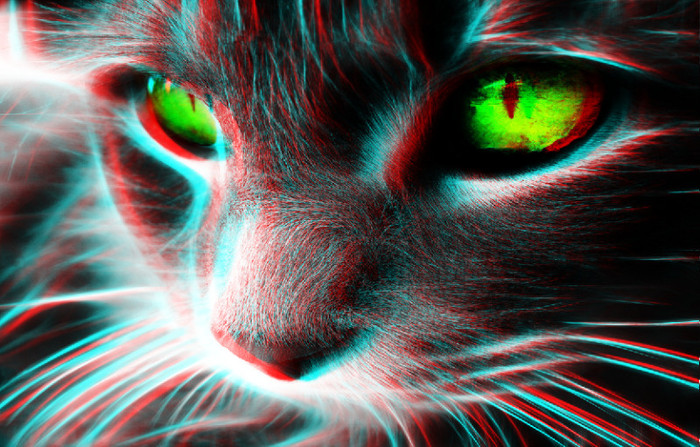 Cat3D - 3D