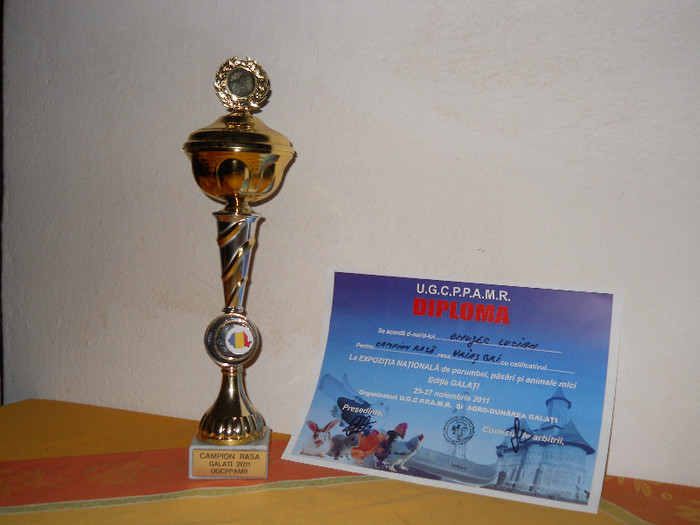 Campion Rasa Urias Gri German (M); Expo Nat. Galati 25-27 Noiembrie 2011
