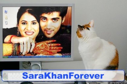 Pisica se uita la calculator - SaraKhanLove