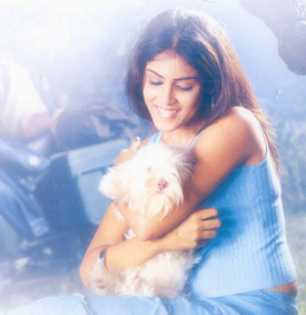 genelia_27_1