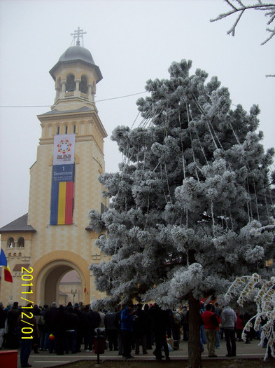 113_0914 - ALBA IULIA 1 DECEMBRIE 2011