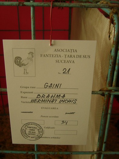 P1170404 - gainile