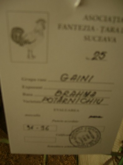 P1170419