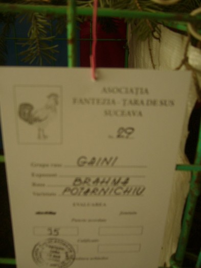 P1170430