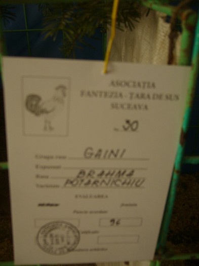 P1170435