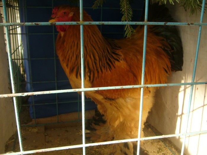 P1170445