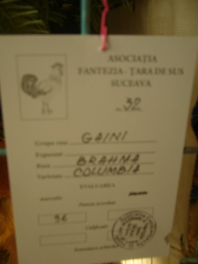 P1170447